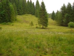 2013-06-22_Hirschhoerndl_Jochberg (004).JPG